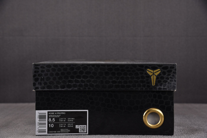 Nike Kobe 6 Protro Dodgers CW2190-400