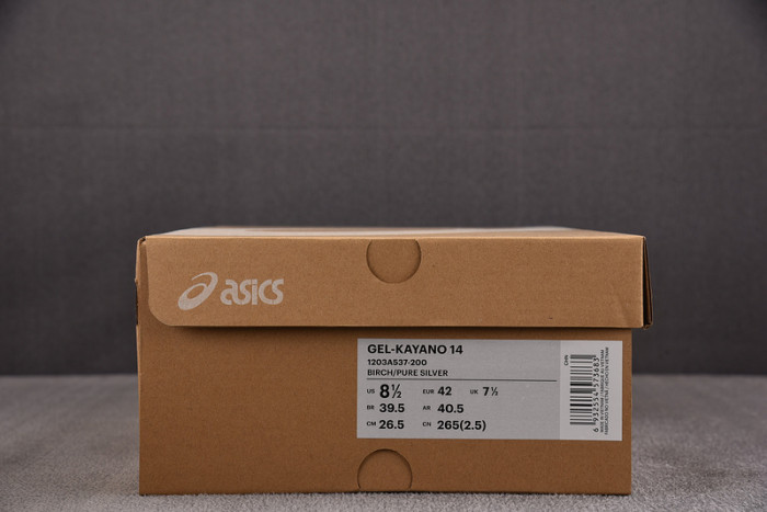 ASICS Gel-Kayano 14 Birch Pure Silver 1203A537-200