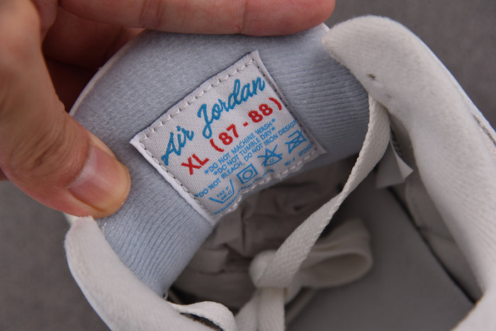 Jordan 3 Retro Lucky Shorts CT8532-101